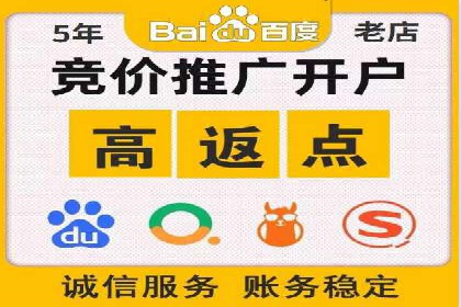 百度竞价广告运营全解析：成功案例揭秘