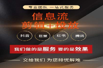 成功案例：sem竞价托管的智慧与策略